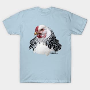 Brahma Chicken T-Shirt